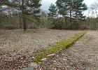 99_MilitärbahnhofRehagen